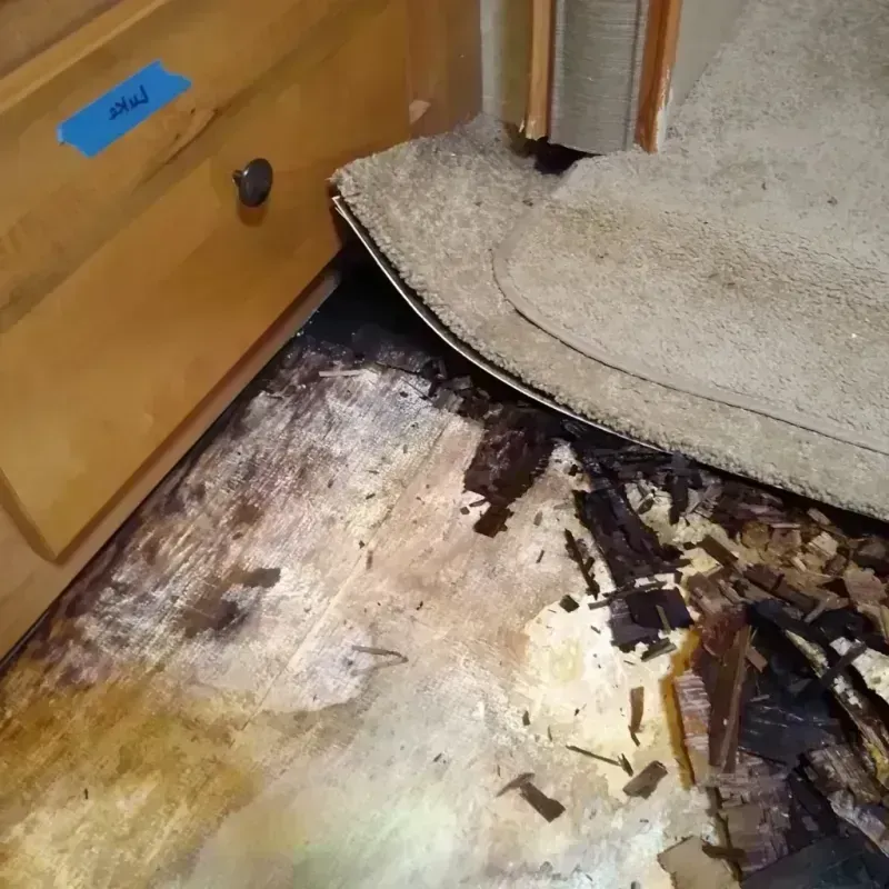 Best Wood Floor Water Damage Service in Carnation, WA